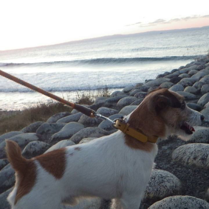 95882c0a fe9f 4805 8e3b cc73897d0902