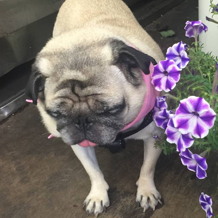 958881f3 c676 4b00 b662 a50ef5a6298c