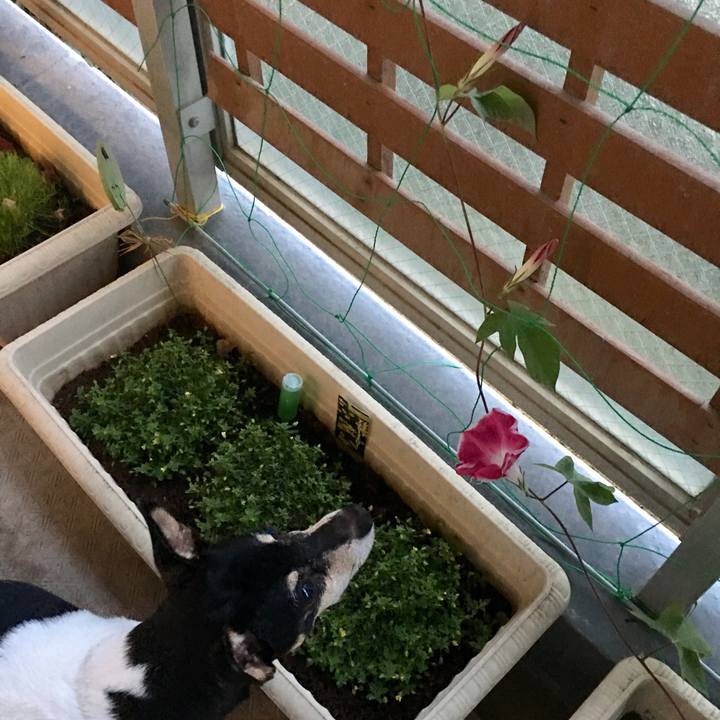 958910d7 e91b 4a67 b5ff cdcee67f4f71