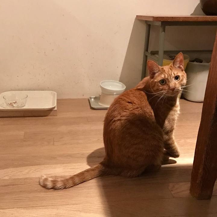 95899136 bb0a 49ff a15b 30468be41915