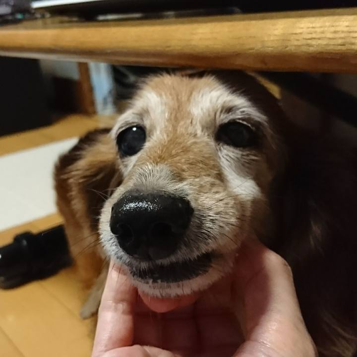 958ac8c6 0d2d 4ebe bc86 d3ac6c3a67dd