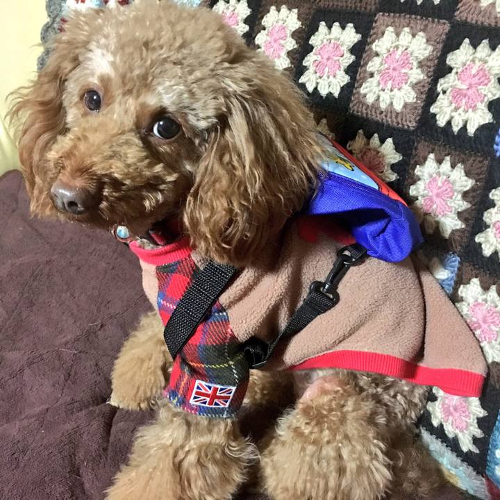 958b024b 7062 4ec5 a1a3 b0fc0a95b4c6