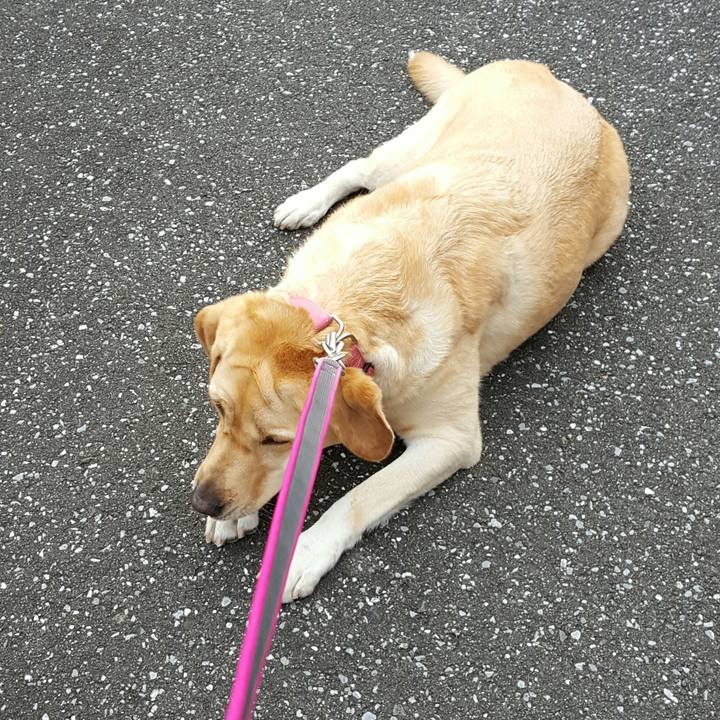 958b2d70 554d 4b62 8a77 4723746d677c