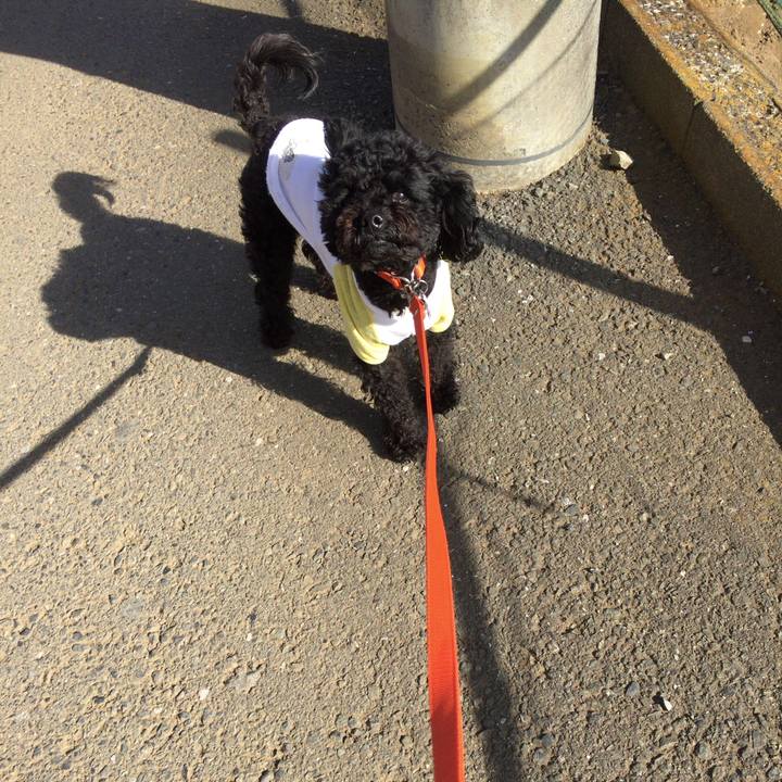 958c639d 8eb6 4773 a1e9 2e59e88a44b6