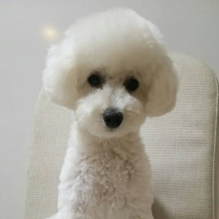 958c69d7 c0a9 4194 97d4 20b91fbfb183