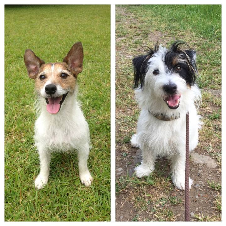 958c93c9 ff1d 43de add5 6507c77c79b2