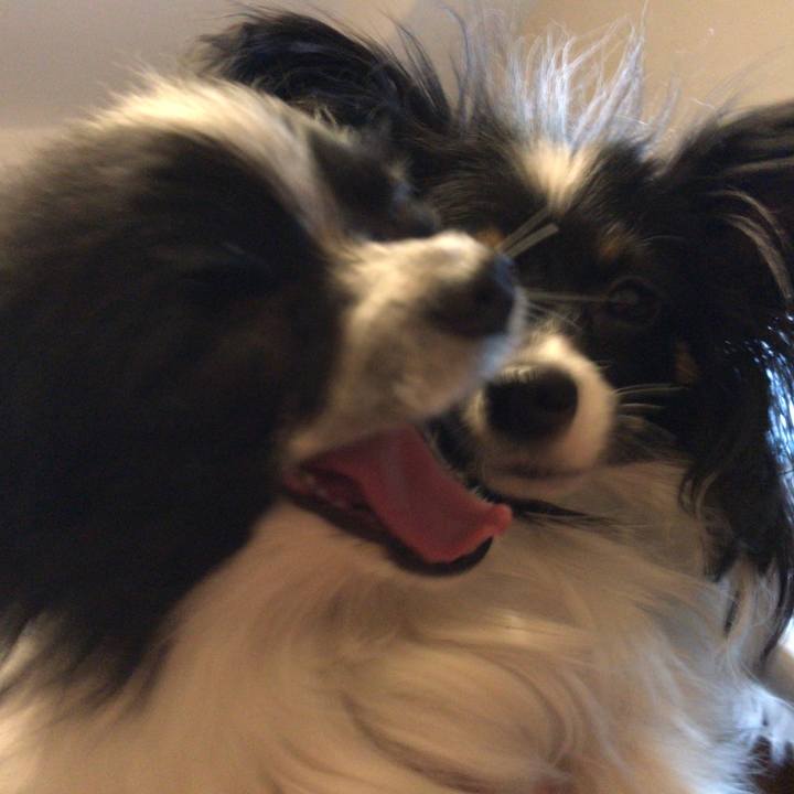 958d055f a689 4f6e ae14 4d51debd397a