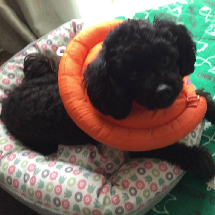 958d7b7b badc 4e1a 8b1a 63041d651e57