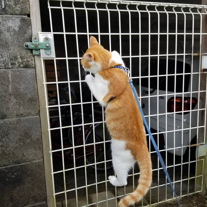 958d9746 2d04 497c 93e9 5822217932cc