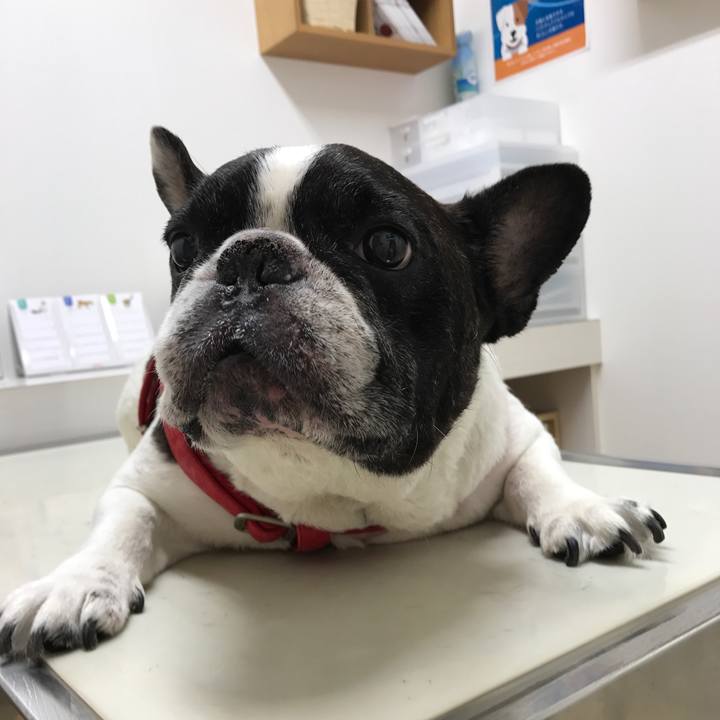 958daa69 5e65 460c a55f 27dcae7415ba