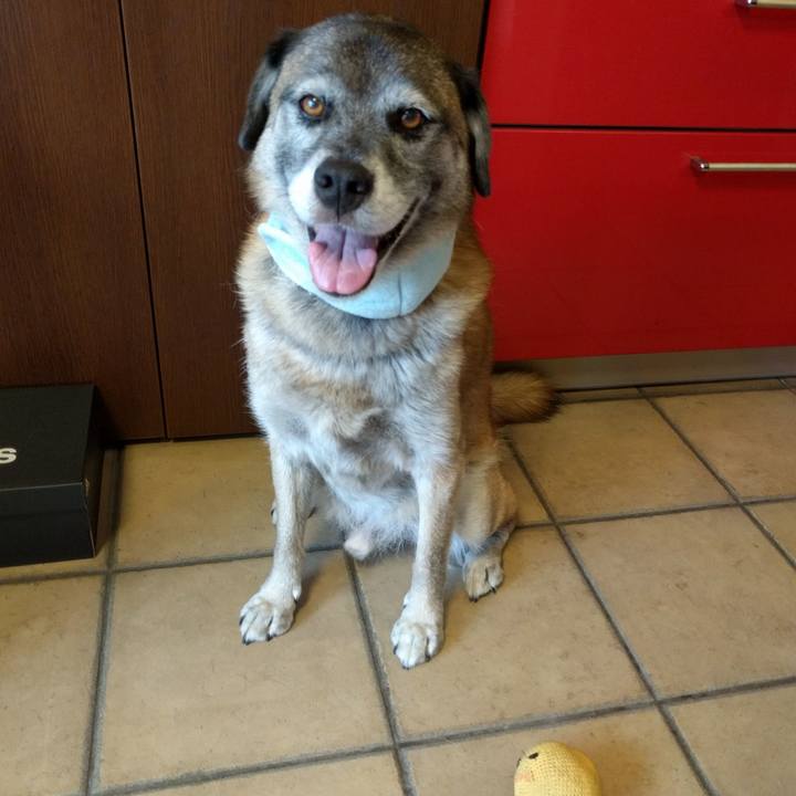 958eee2d a768 4939 92f2 bca2e3b1cade