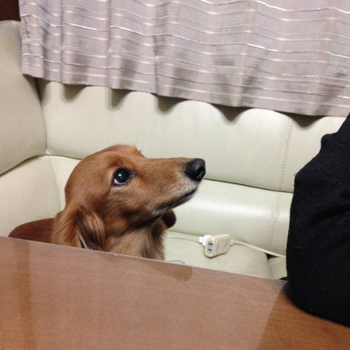 95900562 d0ea 466e a48b 2bd3b61bf704