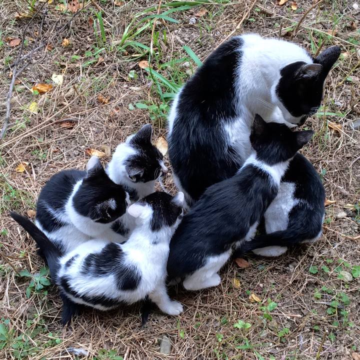 95900931 5f95 4dad a9cb 3982b2bb8fa9