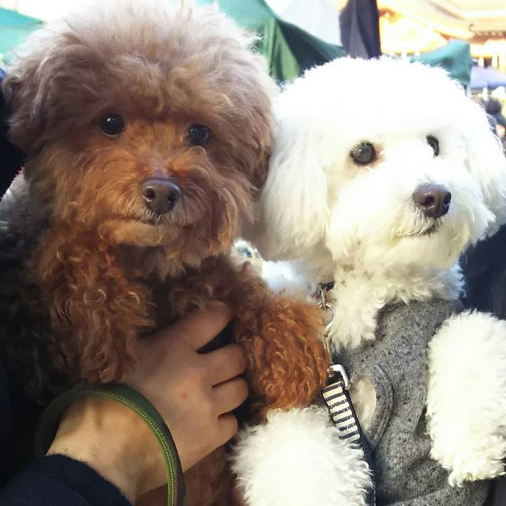 95910e61 5649 445e 8917 44ec7de74293