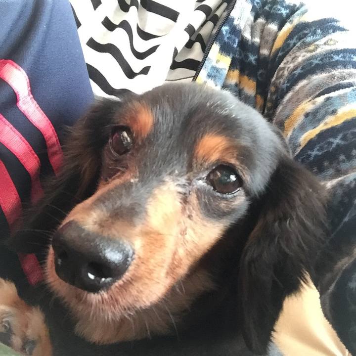 95918455 3ce9 4230 ac2b e73dcdb513f1