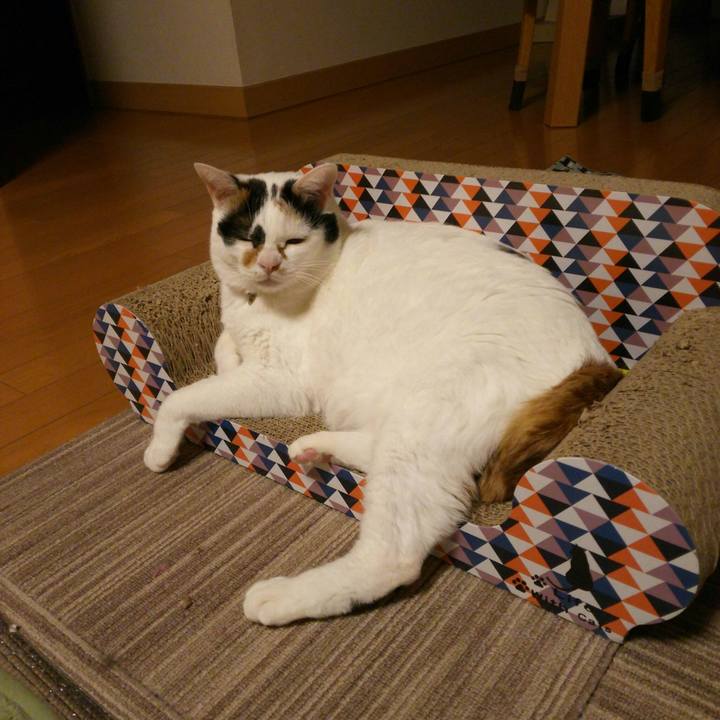 95921dc0 74b0 4740 abdc e7a70f0358aa