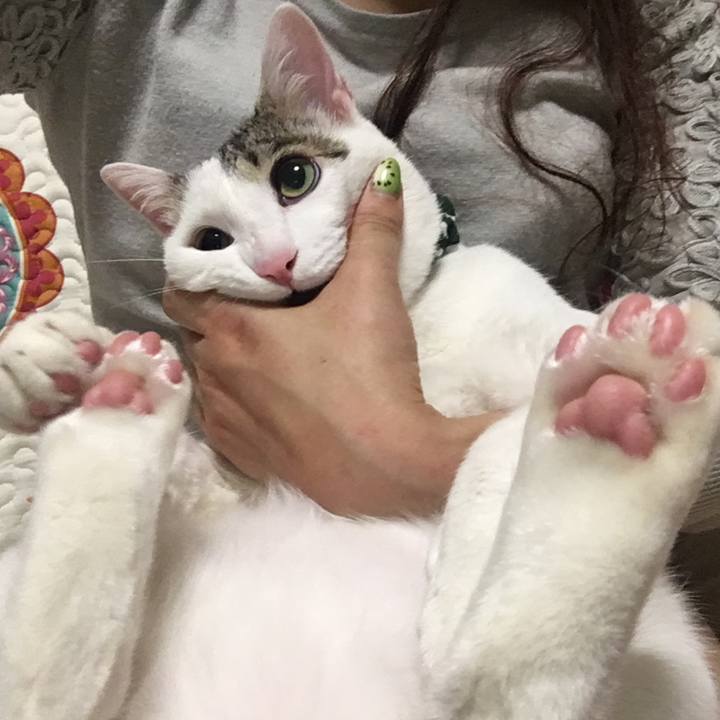 95930fa8 bfbb 4ed3 bdfe dbcf323a07ed