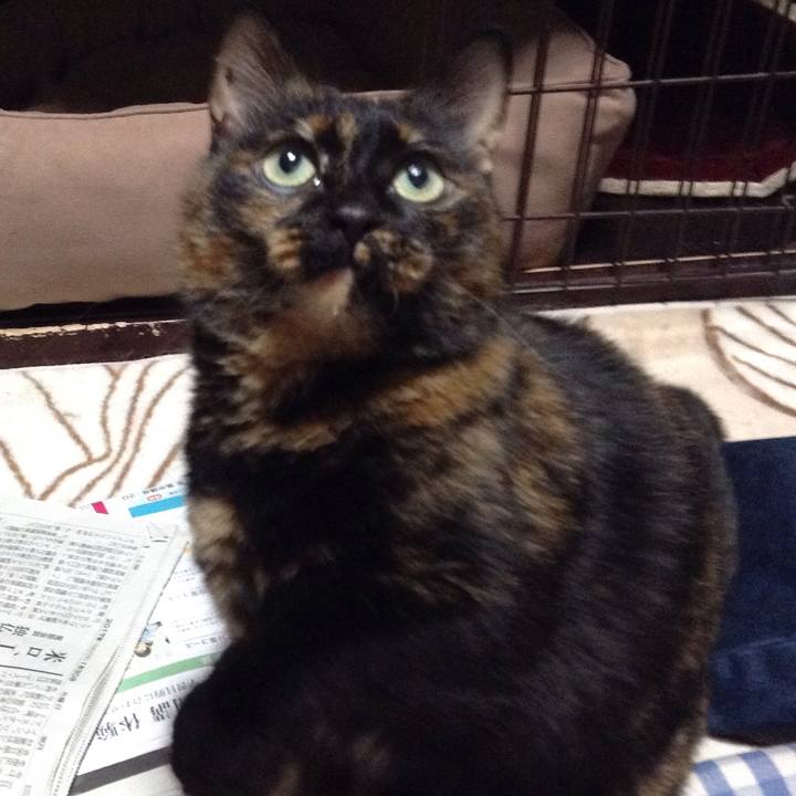 959312e3 059a 4f54 a0f6 4fe9f57917e4