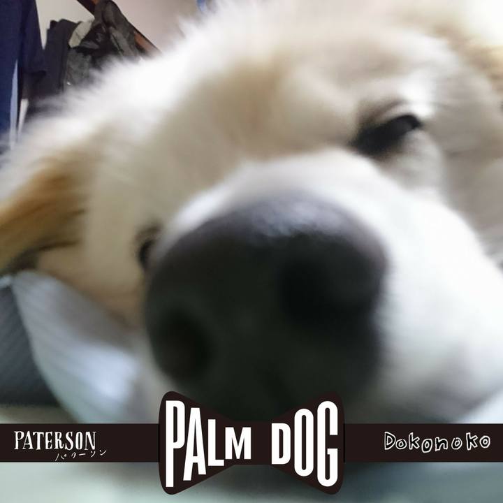 959359cd d8db 4b46 9ce1 569c176c5565