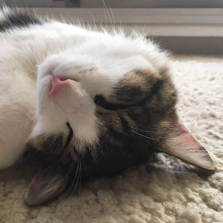 9594059a c8a1 4594 8024 264fd8f2c5be