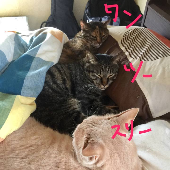 95954c2c 5bb7 4e6d bb3a 119e8d68c3d6