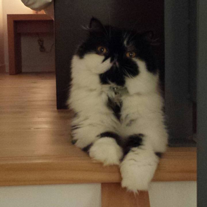 95959d16 931d 48d1 ab26 c24c864a706a