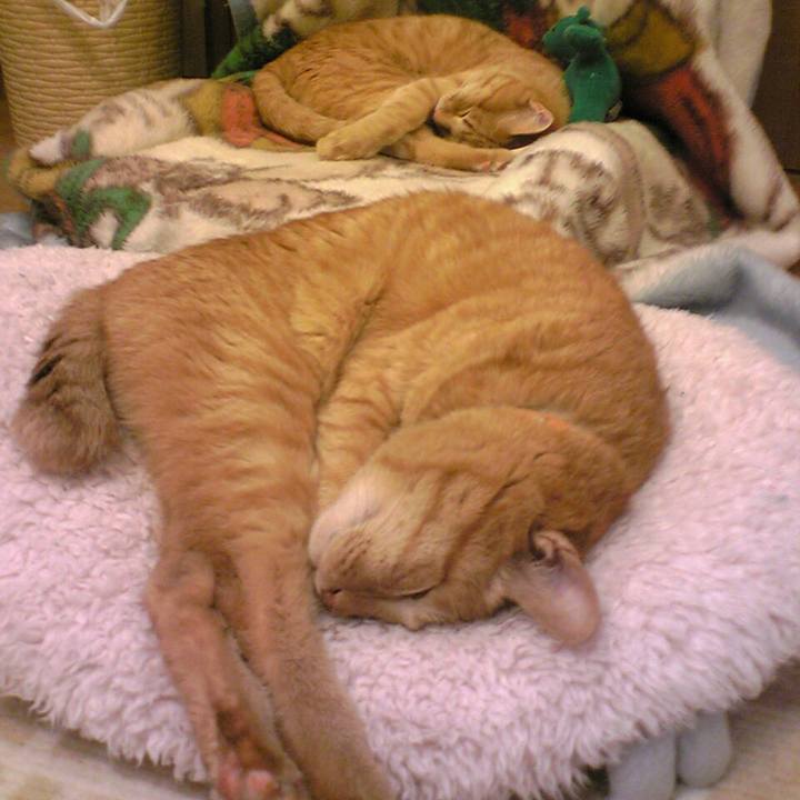 95960121 6119 4822 8b0d d81f65d6c5d2