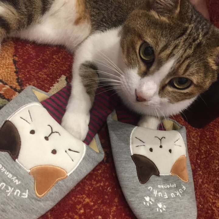 9596662b 61c4 44d3 b89b 868861529571