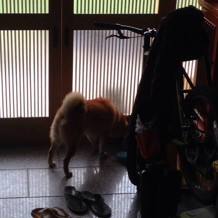 959688b8 e884 4dff 955a 76520243804a