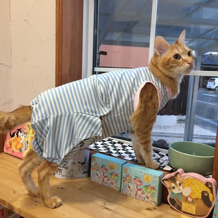 95969db0 578f 4d96 ac62 77884c89a444