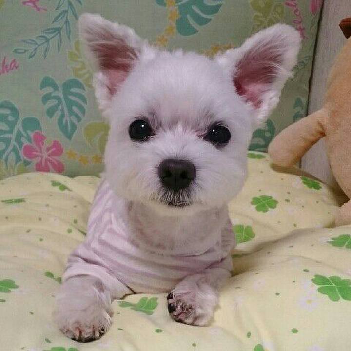 959738e9 a213 4762 a05a 8ef1c4e27b36