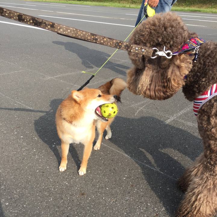 95974c81 6fa4 4d2f 99f2 3133c4c197bc