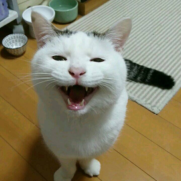 95985535 df3c 4fa3 9458 8ce5b1a8434c