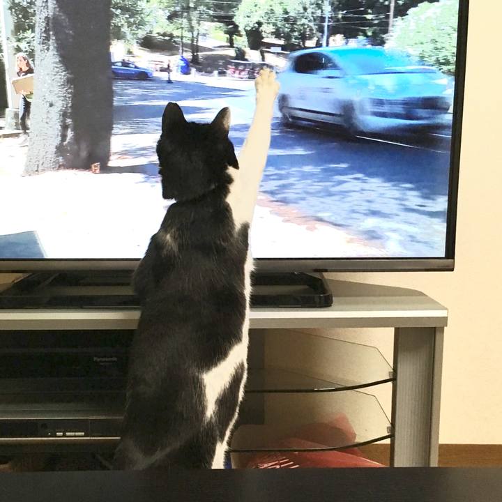 9598b36e fc2a 4935 bc36 0c390ef6edd3