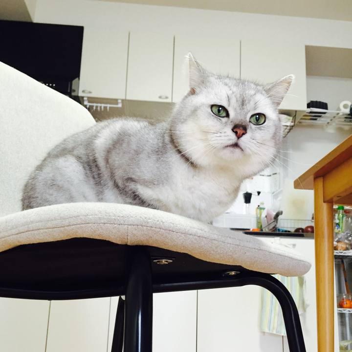 95999b9b 3ac9 4d77 aa34 9b36a05edfec