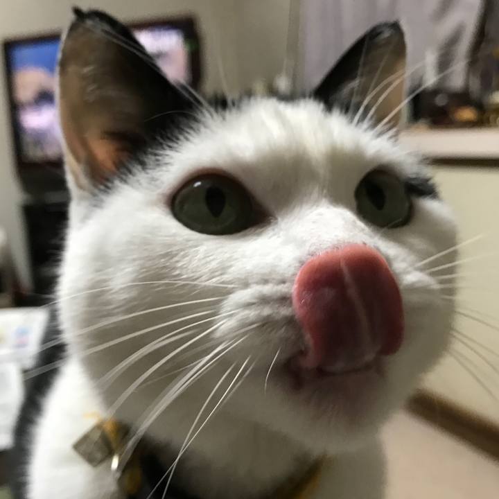 959a1daa 14b3 4aa3 9fe4 85adea729453