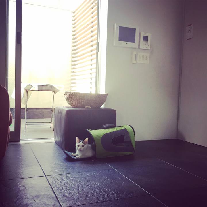 959a26ea 39ff 4f06 ac6a 7029d44ff463