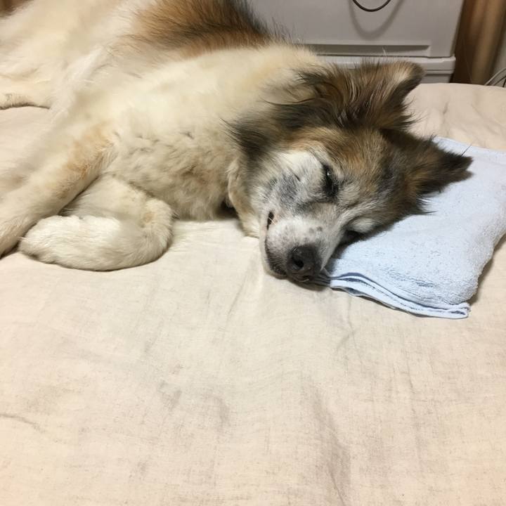 959a4fcd 87f6 4328 8e6e adc9dab351b8