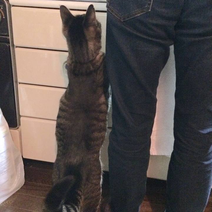 959a7d68 cda0 43c3 bbcd 5fddede943c6