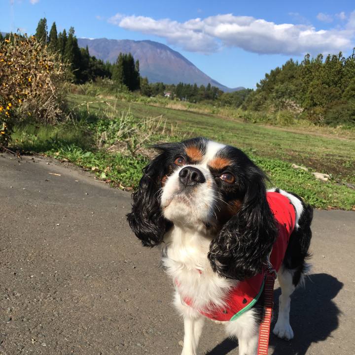 959ae961 d13f 46dd afb9 1b272c98b986