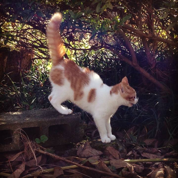 959afe44 c198 4d5f 8978 6917490ff49a