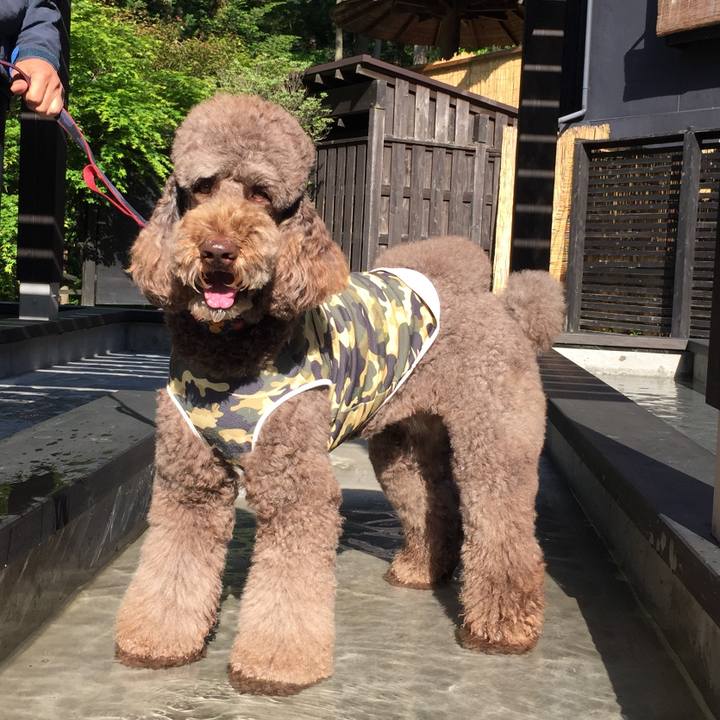 959b4dd3 8dea 4431 a0c4 0eaa61933ffd