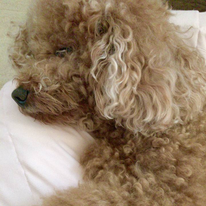 959b5abf 935c 45ea 8a36 8f167543bbb6