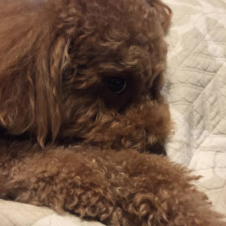 959bb4ea 094d 46b0 983d 9a0009e7f3c6