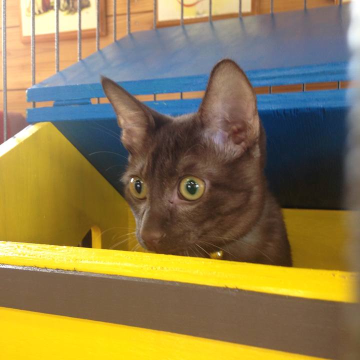 959bc075 782c 4bd0 86f0 dfda16ceb952