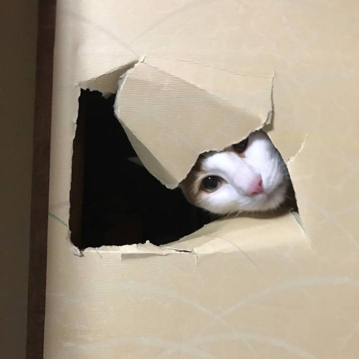 959be392 5010 4bf8 80f8 8606d07925ad