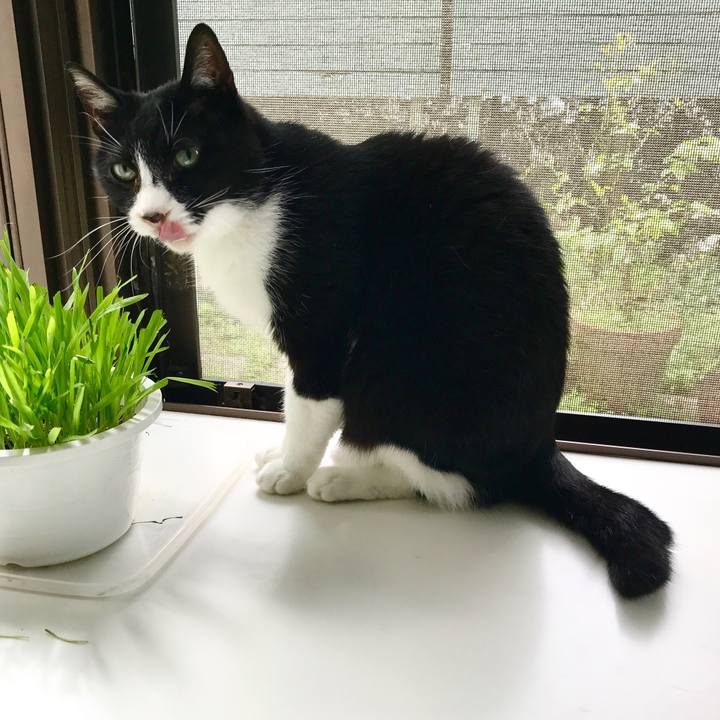 959beb39 179d 4d45 b944 e0e9fa7a465f