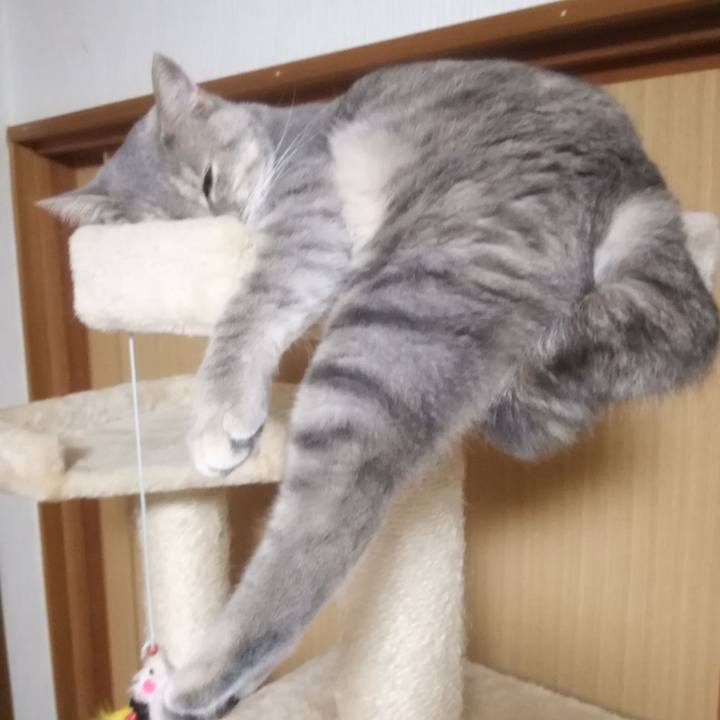 959c3b53 2767 4227 bef1 894df482e7a9