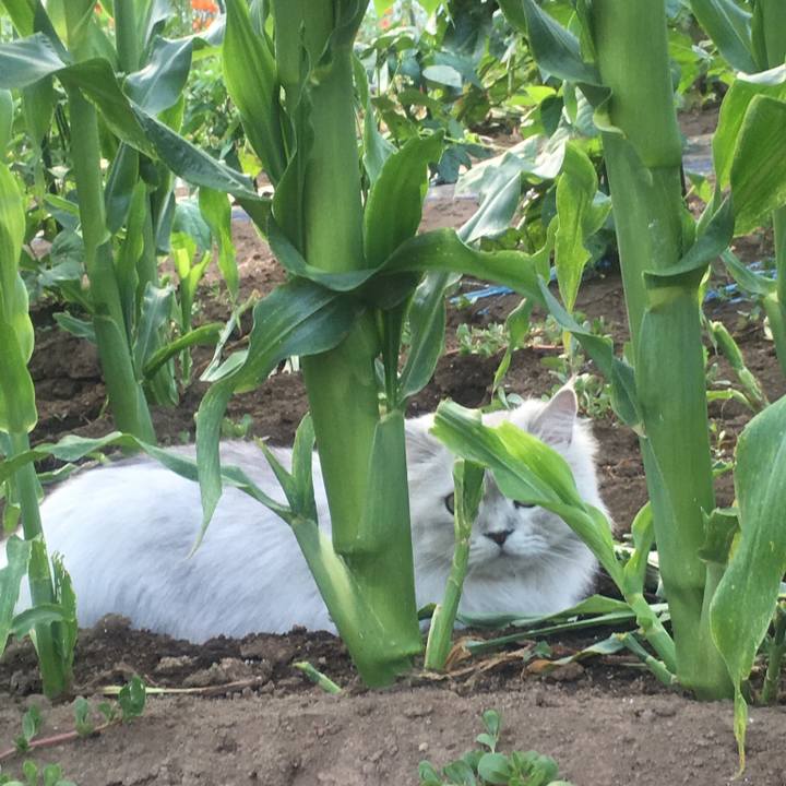 959c835e 5662 4fdf bb90 88df46d2174d