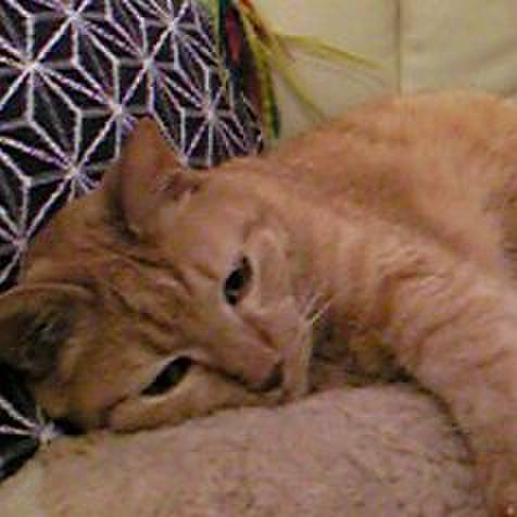 959cab81 377d 448e 8161 c70e3f28aa73